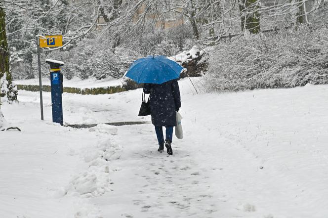 Śnieżny Szczecin 