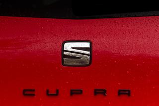 Seat Leon Cupra 290