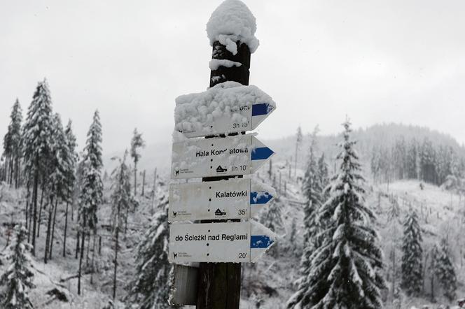 Śnieg w Tatrach