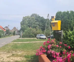 Zaradna sołtyska znalazła sposób na piratów drogowych! Jej atrapa fotoradaru sieje postrach