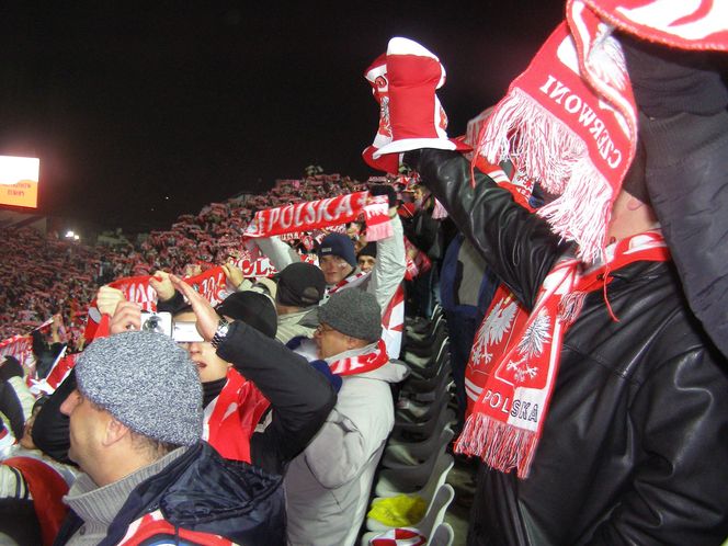 Polska - Belgia 2:0 (2007 rok)