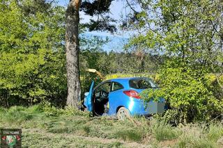 Nieprzytomny kierowca uderzył autem w drzewo