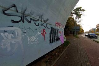 Remont nie pomógł? Zabytkowy wiadukt przy szczecińskim cmentarzu w opłakanym stanie