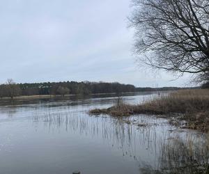 Zmiany w Parku Odrzańskim w Zielonej Górze. Zobacz jak wygląda obecnie