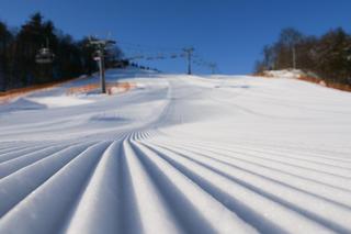 Szwajcaria Bałtowska - styczeń 2024