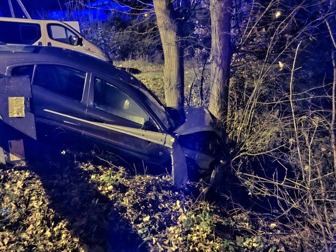 Szalony rajd pijanego kierowcy w Brodach. Uszkodził trzy auta, skończył na drzewie