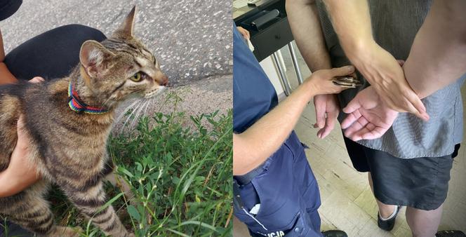 Wyrzucił do rowu kota w worku! 62-latek bez serca