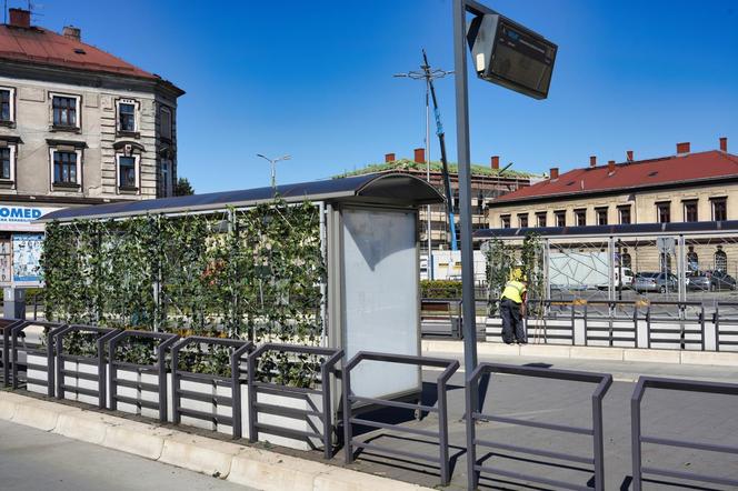 Czechowice-Dziedzice inwestują w ekologiczne rozwiązania