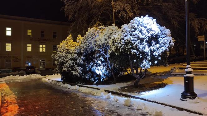 Atak zimy we Wrocławiu. Sypnęło śniegiem! Zobacz zdjęcia [GALERIA]