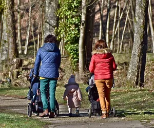 Trwa przyjmowanie wniosków na nowy okres świadczeniowy 500+ - Ile ich wpłyneło w pierwszych dniach?