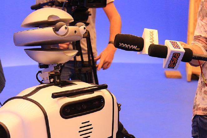 Robot społeczny Flash Mk II