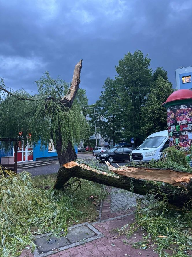 Powalone drzewa, zalania, wstrzymany ruch tramwajów: dramatyczny bilans orkanu nad Śląskiem