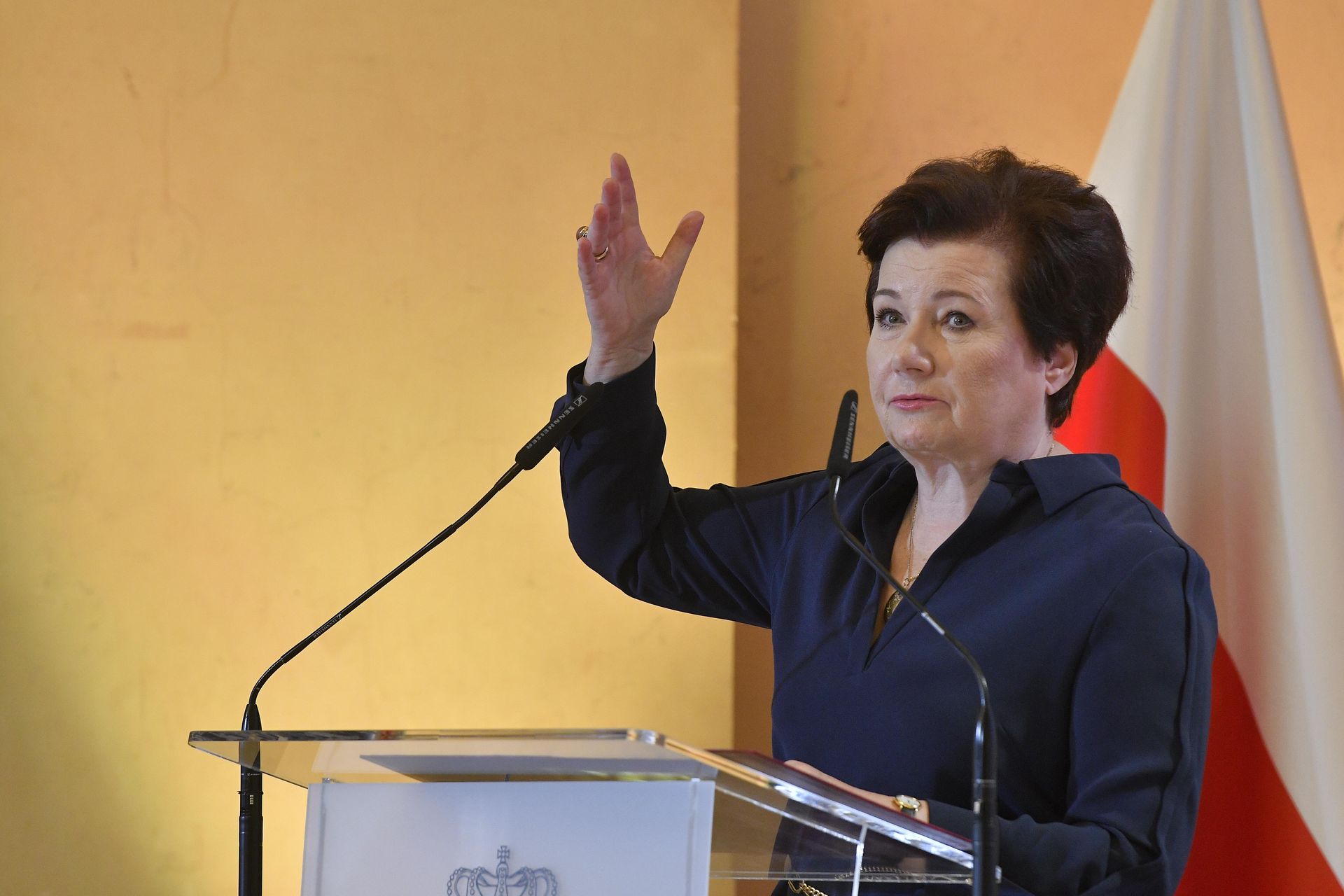 Гронкевич-Вальц о файлах Эпштейна: «Жестокие преступления заметаны под ковёр»