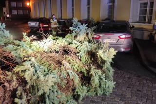 Wichura znów narobiła szkód w Lesznie i powiecie