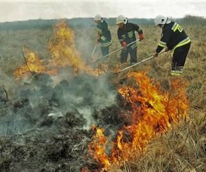 Męczący weekend dla strażaków. Płonęły trawy na nasypach kolejowych