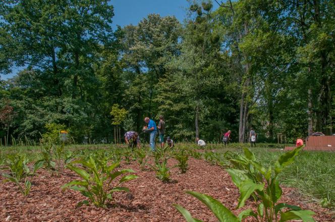 Gliwice: Park Chrobrego już gotowy!