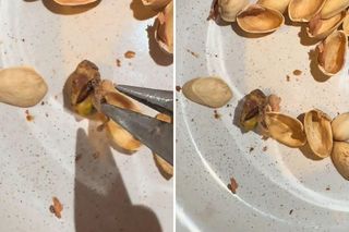 Znalazł robaka w pistacjach popularnej marki. „Przepraszam, ale ja bym wolał wiedzieć” 