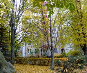 Lublin. Roznosiciel ulotek zaatakował starszą kobietę. 24-letni Bartosz wpadł w furię