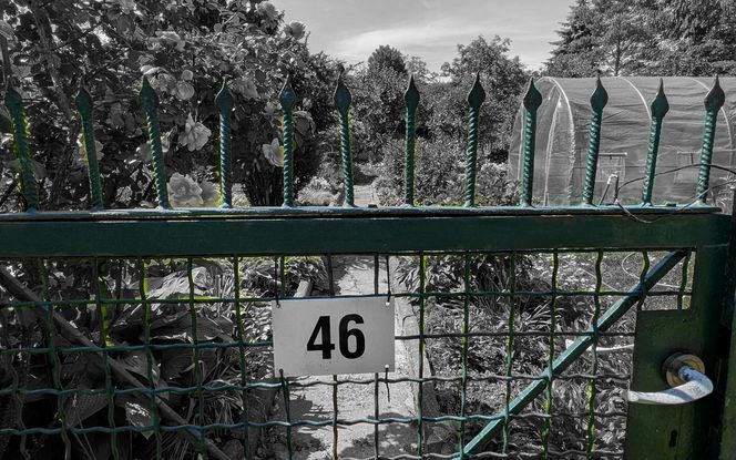 Do zabicia przyznał się podczas spowiedzi. Pobił Monikę tak mocno, że złamał sobie rękę