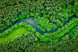 Polska wakacyjna: Park Narodowy Bory Tucholskie