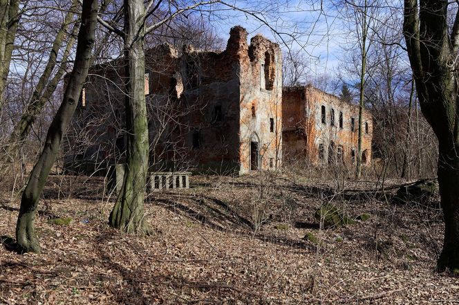 To jeden z najstarszych pałaców w Małopolsce. Mieszkańcy wsi widują w jego ruinach zjawę