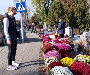 Przygotowania do Wszystkich Świętych Zamość