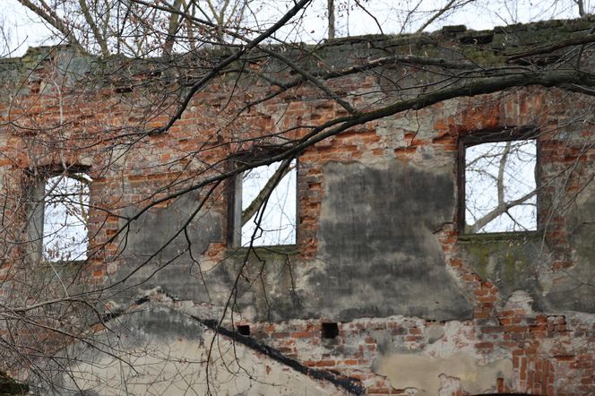 Spacer doliną Bystrzycy na lubelskim Wrotkowie