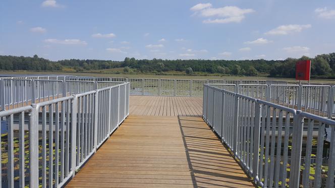 Pomost widokowy na Pogorii II w Dąbrowie Górniczej