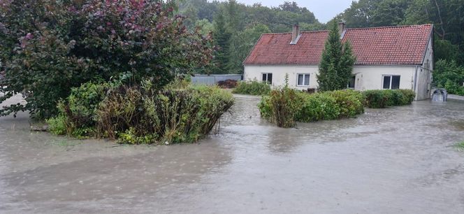 Zalane ulice, woda w budynkach. Dramatyczna sytuacja w powiecie elbląskim