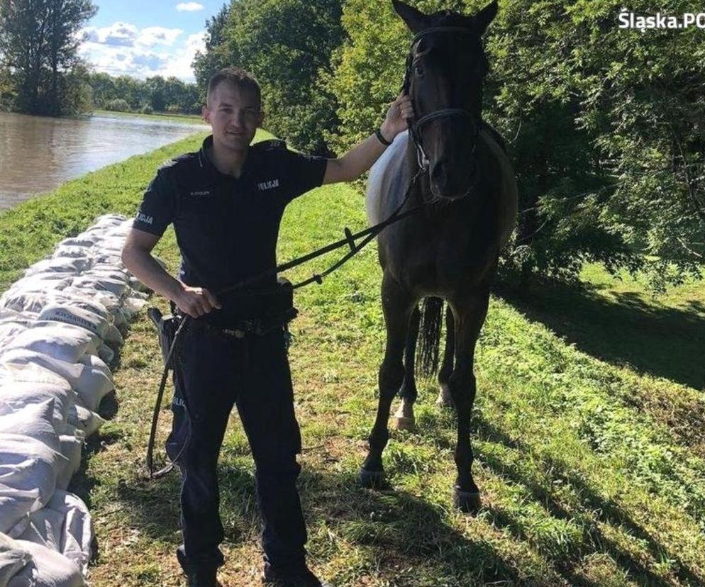 Na ratunek koniowi. Bohaterska policja