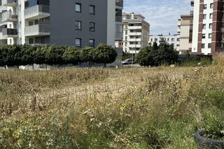 To najsłynniejsze pole w Lublinie