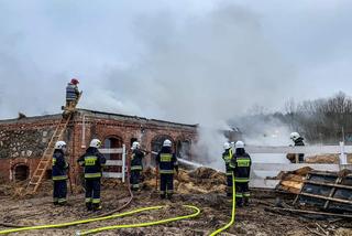 Pożar gospodarstwa w Kibisach. W budynku znajdowało się kilkadziesiąt koni [ZDJĘCIA]