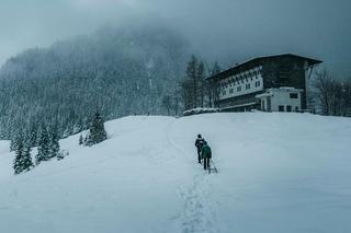 Przyrodnicy ostrzegają! Na narty w Tatrach jest za wcześnie. Niedźwiedzie wciąż poszukują miejsc do przezimowania