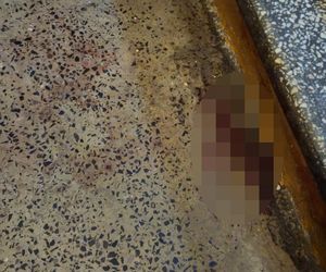 Zabójstwo na szczecińskich Pomorzanach.