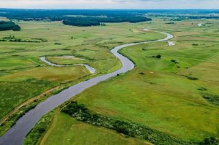 Rzeka Narew na Podlasiu