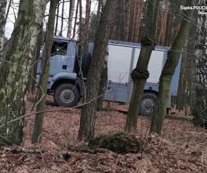 Gostyń. W lesie znaleziono niewybuchy. Ktoś je tam porzucił. Szuka go policja