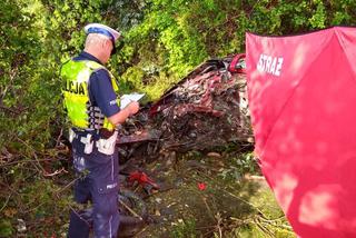 Pułtusk: Makabryczny wypadek w Winnicy! Kierowca nie żyje [DRASTYCZNE ZDJĘCIA]
