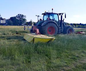 Traktory wjechały na największą łąkę w mieście. Sianokosy na krakowskich Błoniach