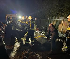 Strażacy z Solca Kujawskiego stawiali konia na nogi! Nietypowa interwencja na wagę życia