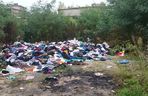 Sterta ubrań wyrzucona w zaroślach w Lublinie
