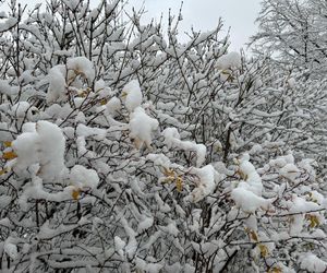 Śnieżny armagedon w Warszawie. Pierwszy atak zimy sparaliżował stolicę. Ogłoszono akcję ALFA