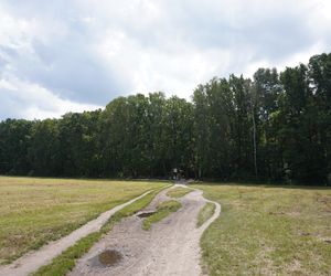 Piękny las 30 minut od centrum Warszawy. Skrywa w sobie tragiczną historię