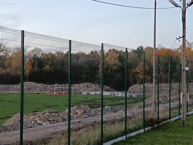 Dziki zryły murawę remontowanego stadionu! Kto zapłaci za naprawę?