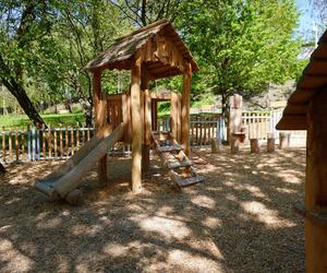 Tak wygląda park w dolinie Ślepiotki w Katowicach