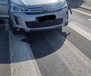 Wypadek na DK 10 pod Bydgoszczą. Trzy osoby trafiły do szpitala!