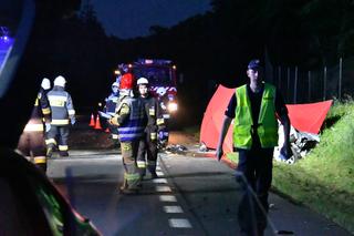 Koszmarny wypadek na DK3. Auto odbijało się od TIR-ów jak resorak. Kierowca zmasakrowany