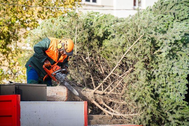 Rybnik szykuje się do świąt Bożego Narodzenia