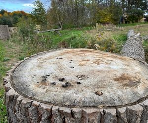 Serenity Park w Mysłowicach to nowe miejsce wypoczynku na Śląsku