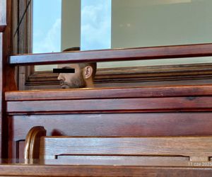 Nie miał litości dla matki swoich dzieci. Ofiarę porównał do kurczaka