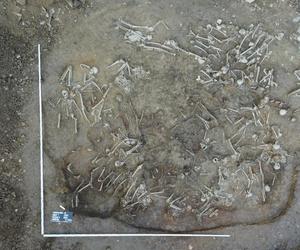 Trwa ekshumacja masowego grobu w Bieszczadach. Odkryto kolejną warstwę szczątków 